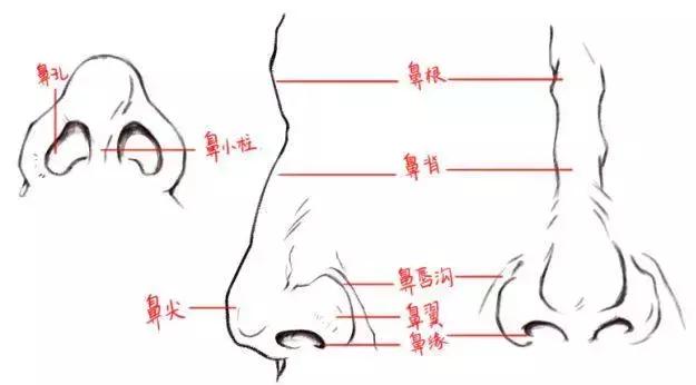 幼儿初学画画简入门