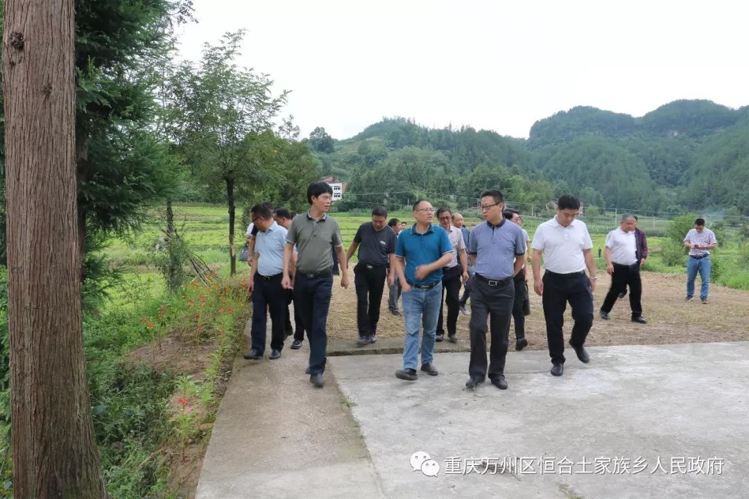 根据会议安排,区委常委,副区长张程,帮扶牵头单位区发改委主任乔乾麟