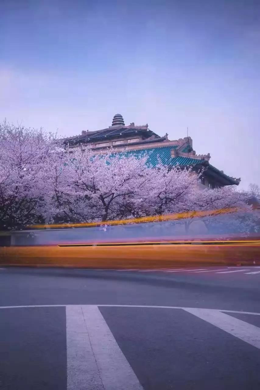 武汉大学(wuhan university)