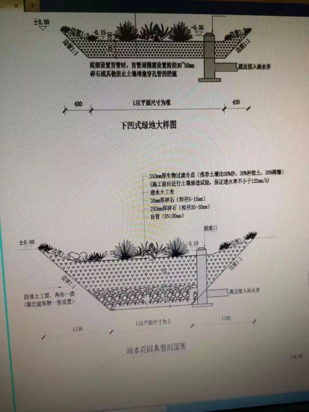 下凹式绿地和雨水花园的原理说明. 长沙晚报全媒体记者 朱华摄