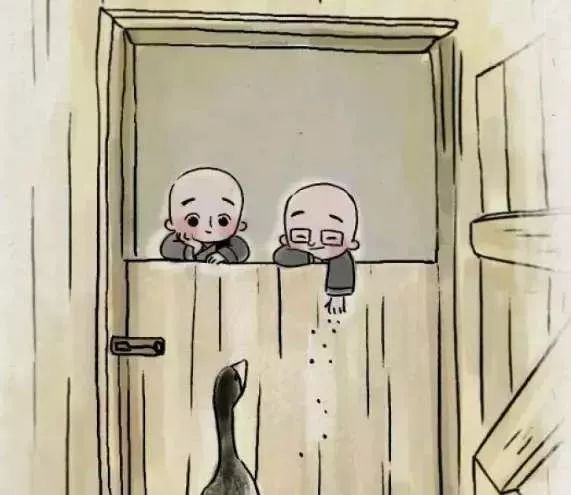 真想,有这样一个朋友!