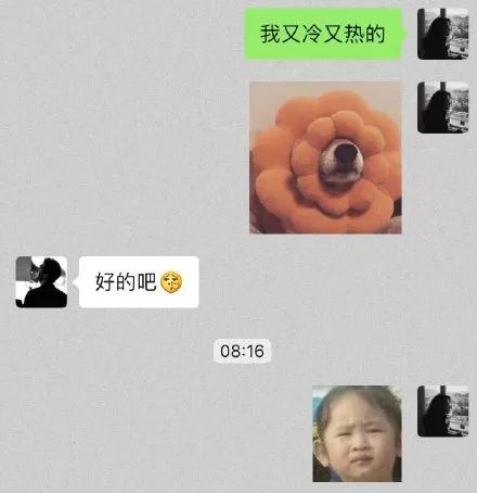 d194337a3dba476ab5211045c2e9357d.jpeg