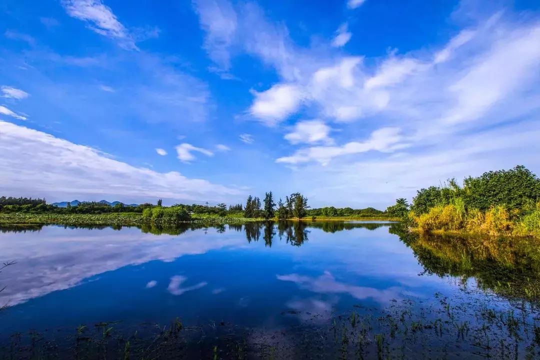 另外一处绝美的景点当属海尾湿地公园,公园位于海南省昌江黎族自治县