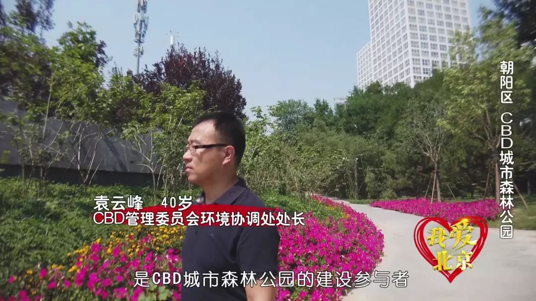 我爱北京寸土寸金的cbd里有那么一抹心旷神怡的绿