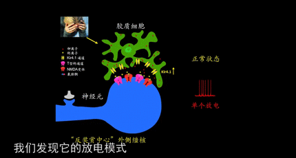 ecc261d7c81a4f4c91fcb5794eda64fa.gif