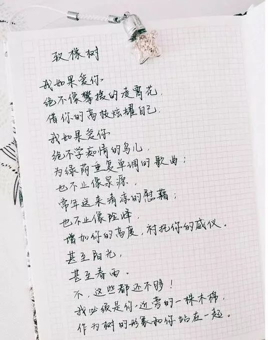 舒婷简谱_致橡树舒婷原文