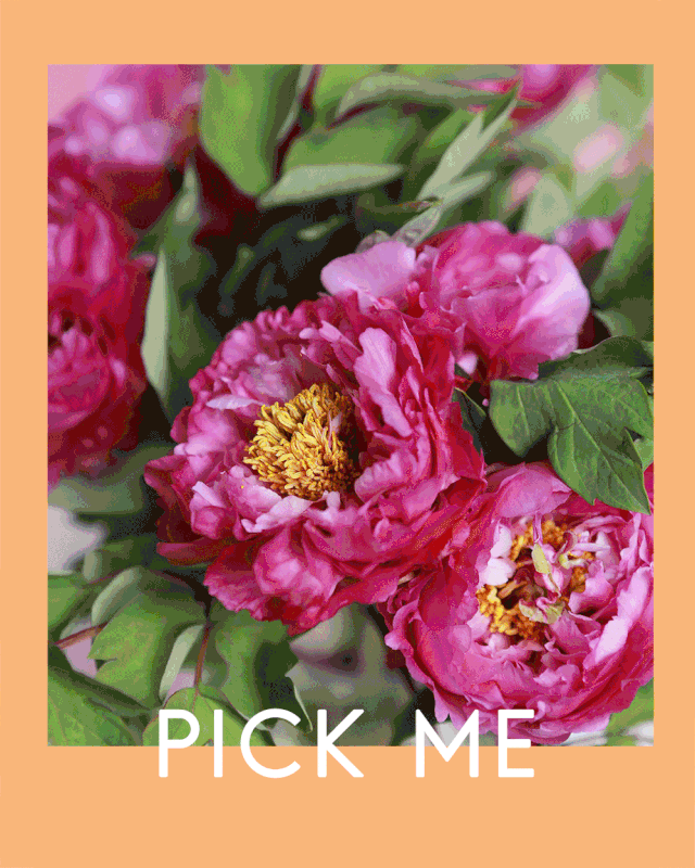 640_800 竖版 竖屏