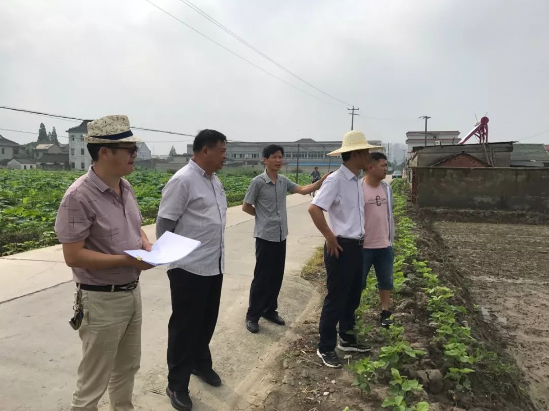 15●当湖街道对钱家村,金家村等7村建设用地复垦项目进行验收 2019.