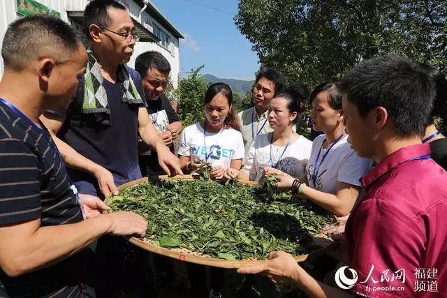 武夷山帮扶培训茶产业技能人才 助力三江脱贫致富!