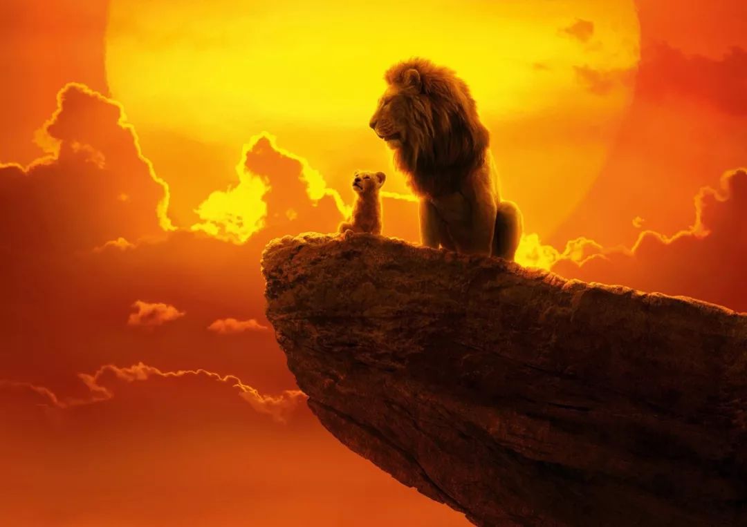 《狮子王》25年后再次大火:看懂了童话的残酷,才意味着真正长大