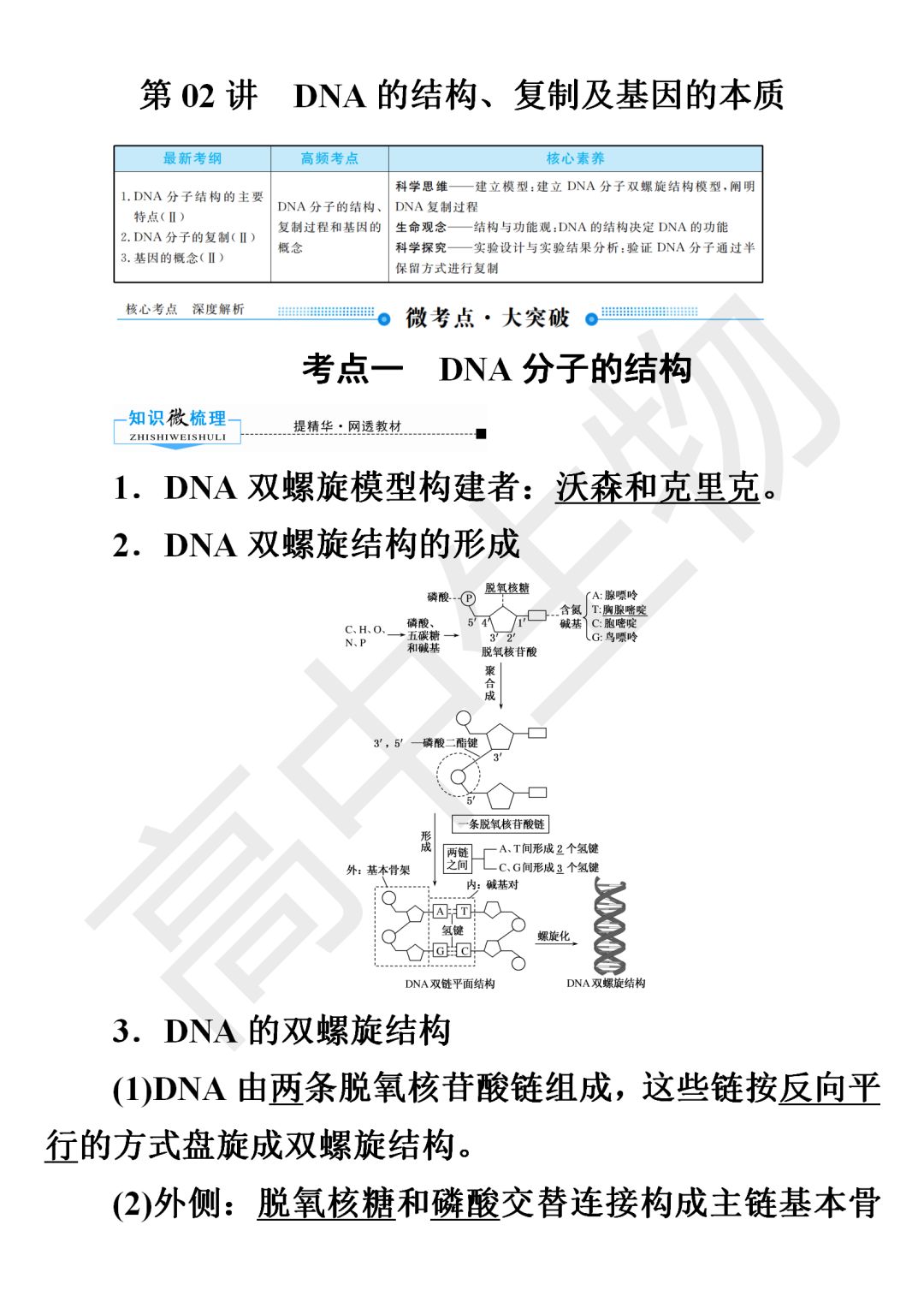 知识点详解 dna的结构 复制及基因的本质 侵权