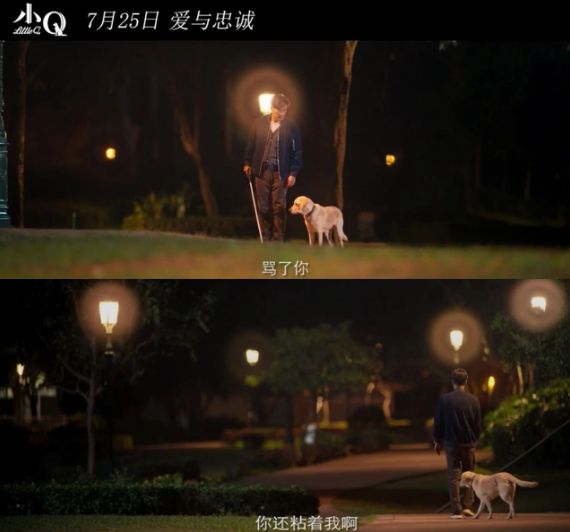 年度最佳陪伴电影,感动3亿人的神作终于有了中