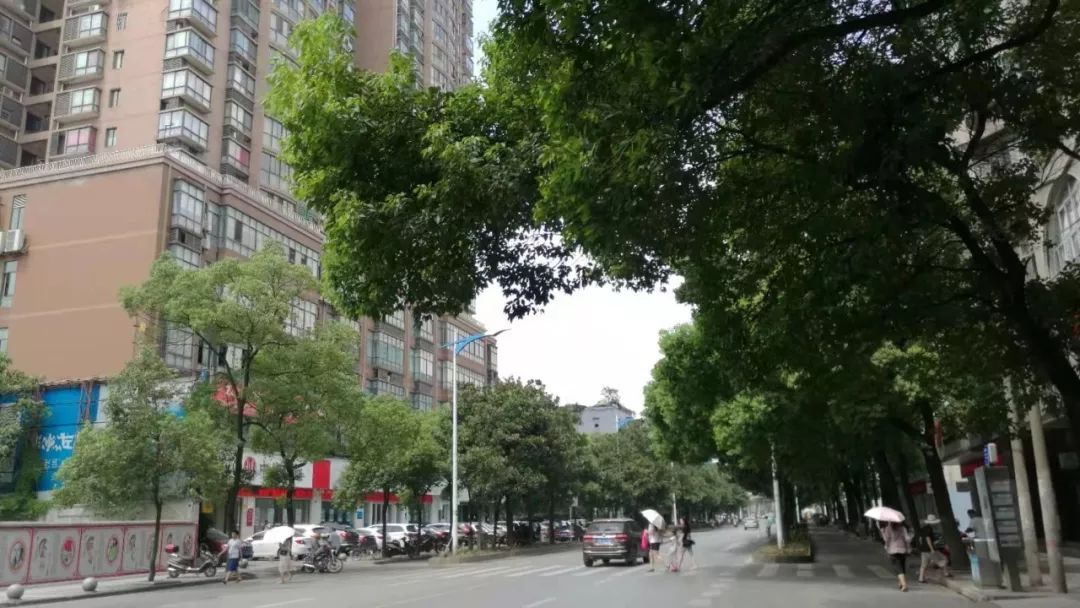定了!黄石武汉路,天津路改造及人行天桥工程初步设计获批!
