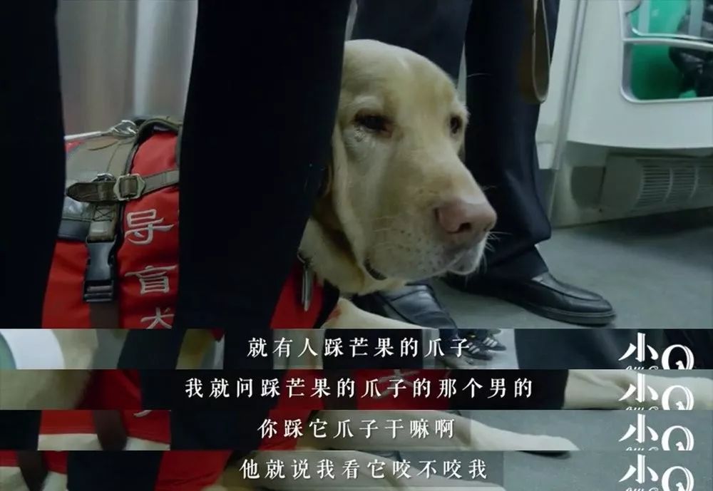 年度最佳陪伴电影,感动3亿人的神作终于有了中