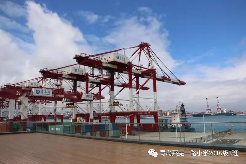 全球领先——青岛莱芜一路小学走进青岛港全自动化码头