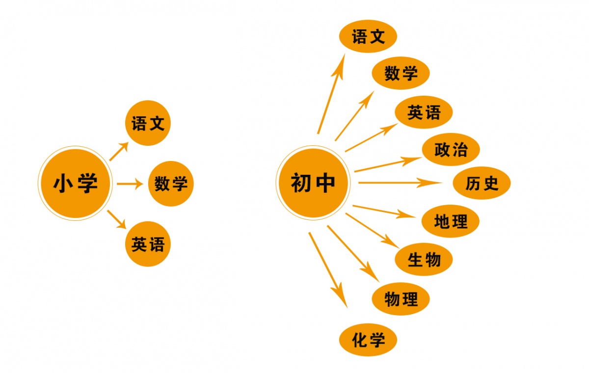 小学重认知和识记,初中在这个基础上,要求学生具备一定的理解分析和