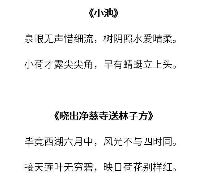 这几首写荷花的诗词文章,两首小学就学过,很多人都知道