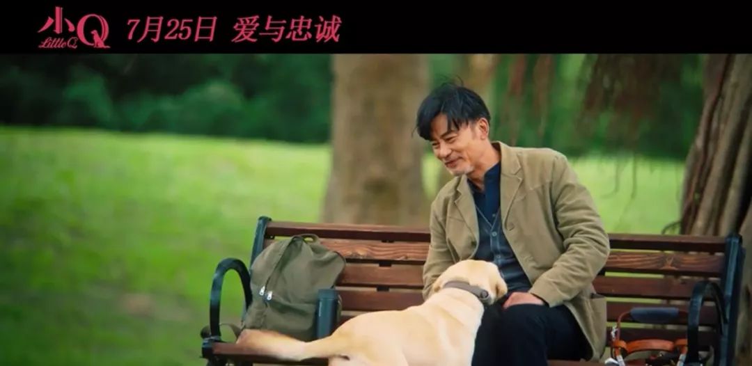 年度最佳陪伴电影,感动3亿人的神作终于有了中