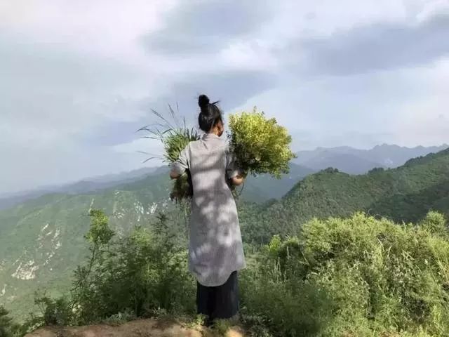 文章配图