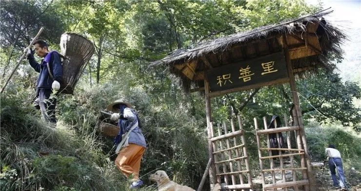 文章配图