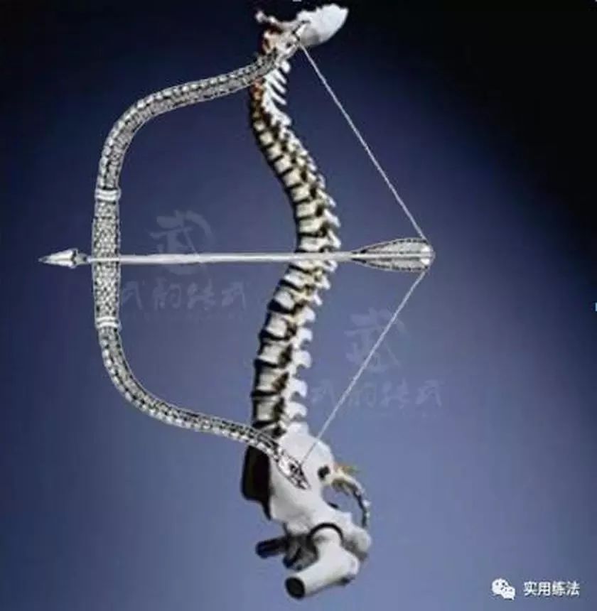 传统武学中，知道"背弓“的朋友十之八九，但是练出来的却凤毛麟角。 | 一个视频带你了解“背弓”发劲高