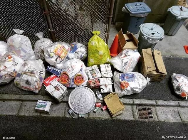 用一张垃圾站照片扬名他能将任何东西放到手上