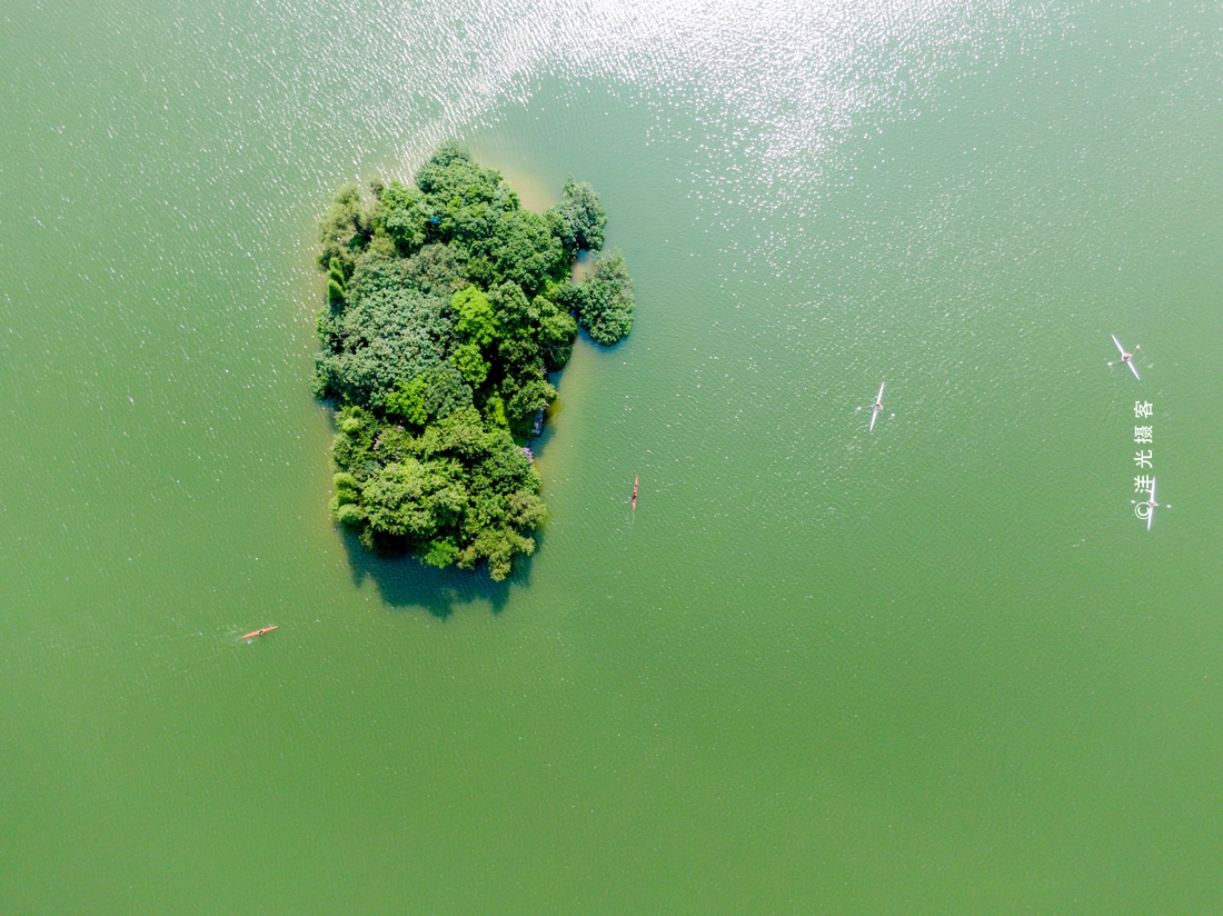 广州城区内最美的 番禺大夫山森林公园 不止是