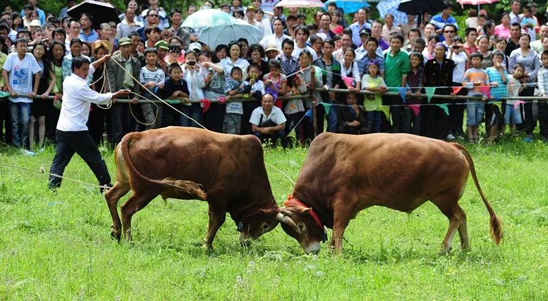 中国·楚雄2019彝族火把节正式向您发出邀请