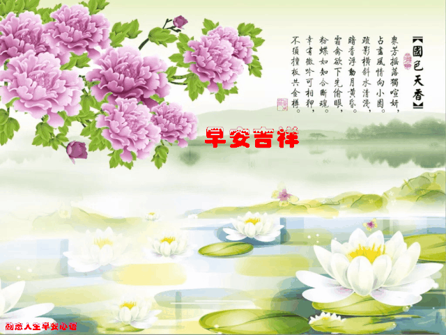 720周末愉快《早安心语》∮