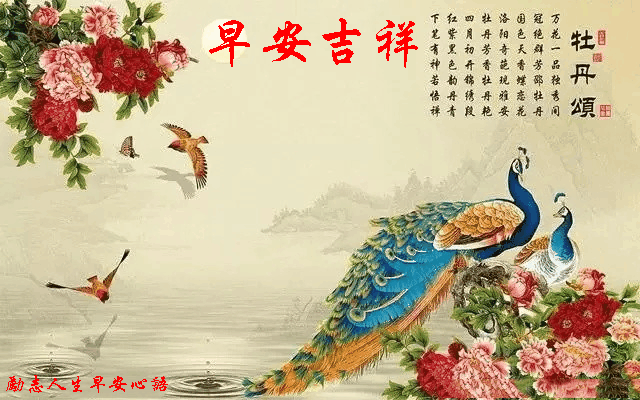 720周末愉快《早安心语》∮