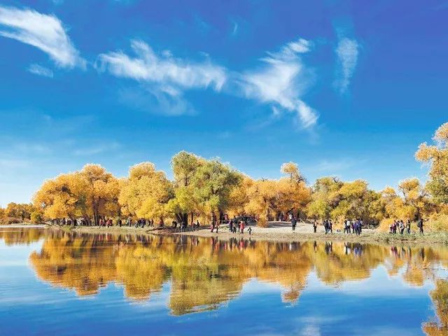 金色童话-额济纳旗西北六省专列14日