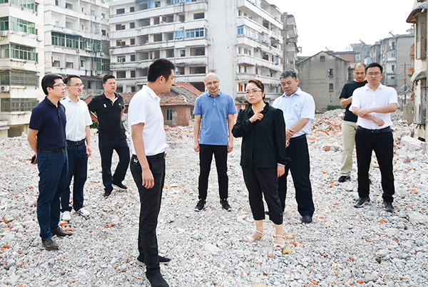 宋细妹调研浔阳区城建项目[组图]