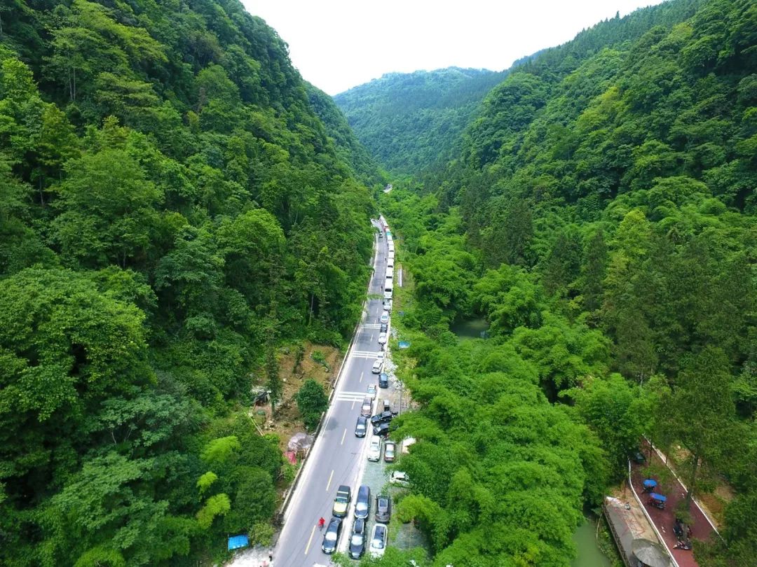 时现,皮渡河穿行在峡谷间,河岸两旁竹林密集,齐齐弯下腰身垂在河流上