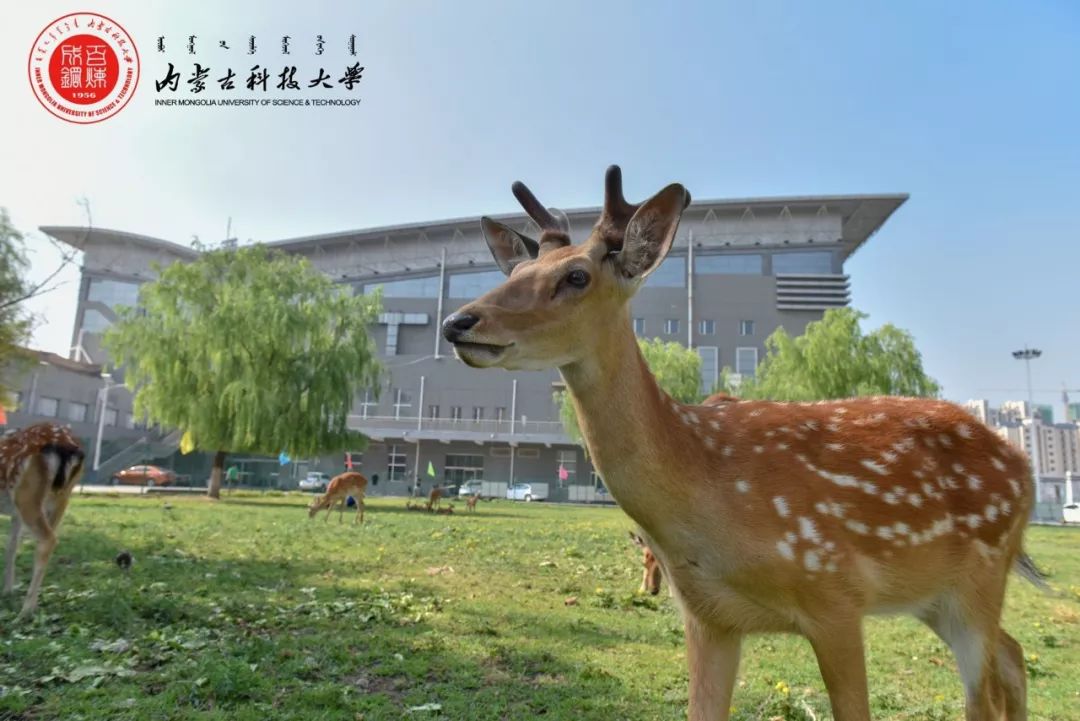 内蒙古科技大学首批录取通知书已寄出正在飞速向你奔去