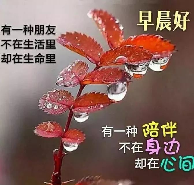 ƯϺö̬ͼƬ,簲ףﶯͼ