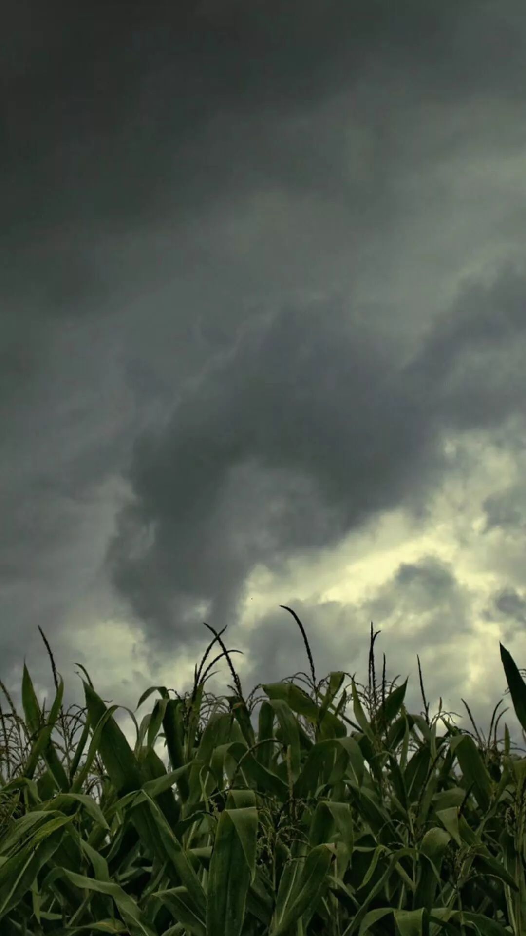 暴雨如注, 2点30分左右 狂风大作, 雷电交加, 暴雨如盆, 天暗如