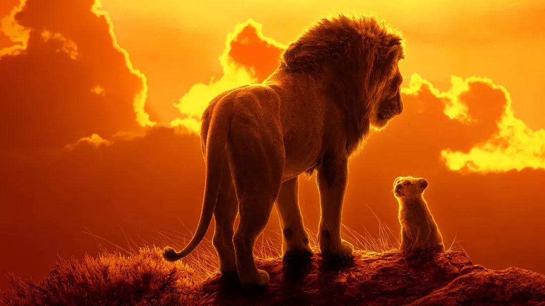 史上最接近真实的《狮子王》是怎么拍出来的?