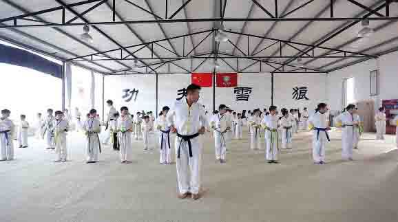 功夫雪狼国际武道教育集团,简称功夫雪狼,由2011年于星城长沙成立的