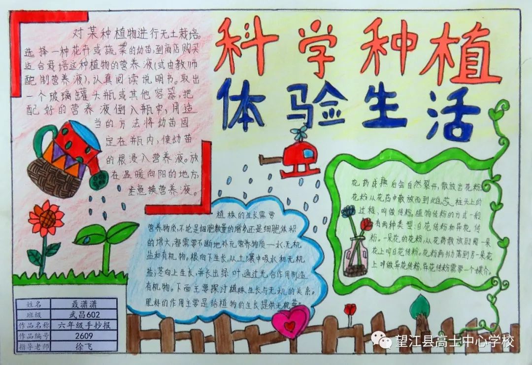 文化艺术节作品展示——"科学种植,热爱生活"手抄报作品(六年级组)