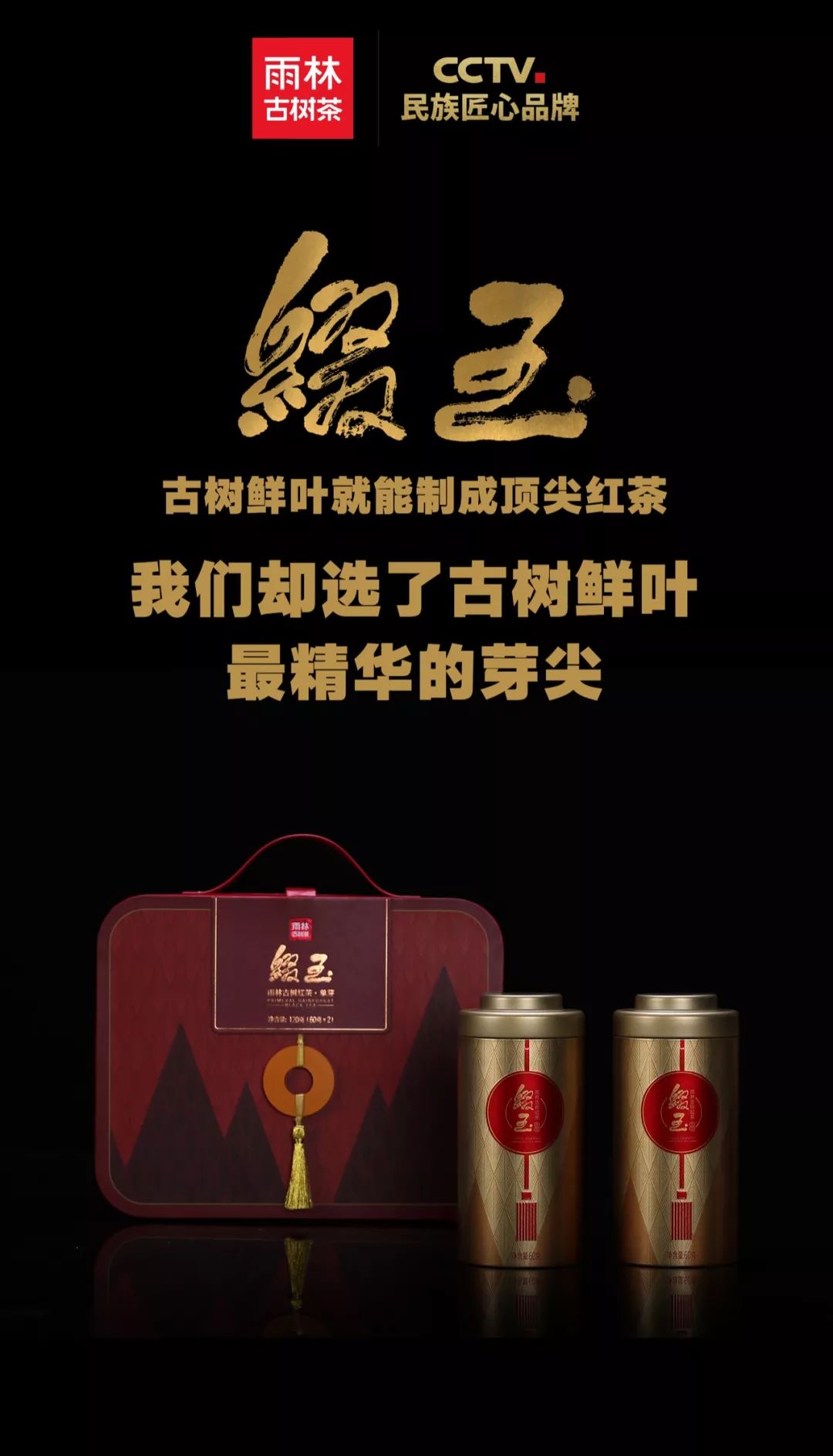 2019缀玉 雨林古树红茶·单芽 经典升级,盛装归来 古典与时尚的完美
