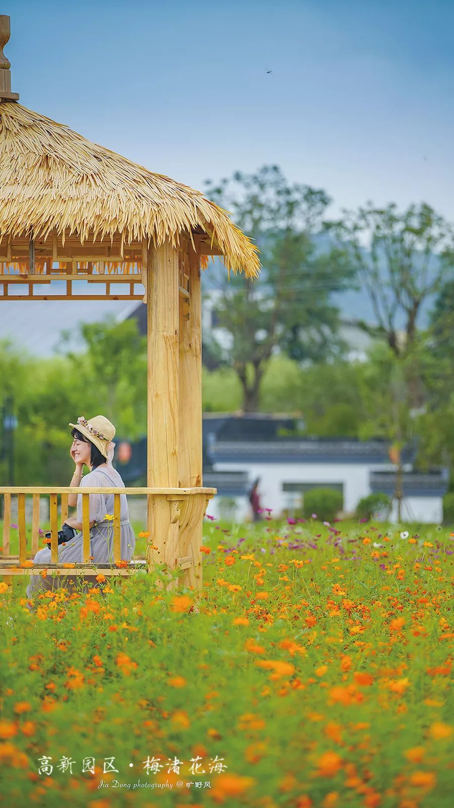 千年古村,情定花海!以爱之名,到新昌赴一场花事_梅渚