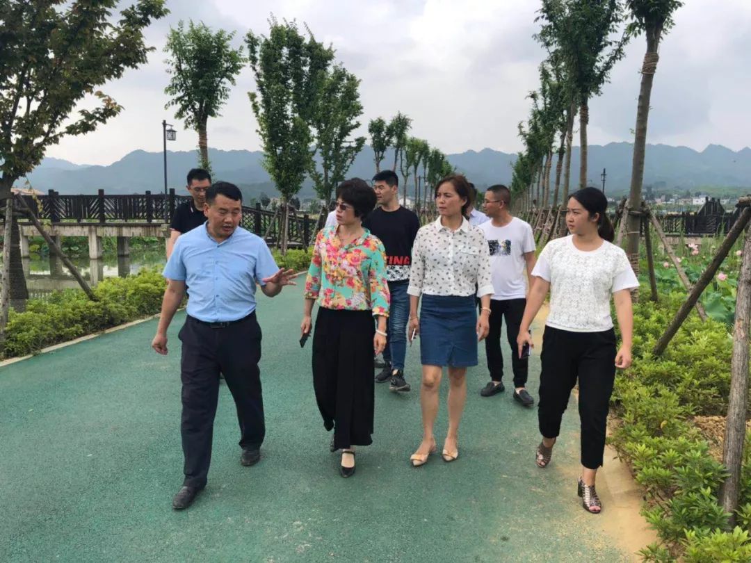 (图为在金沙县西洛街道生态有机示范园了解情况 7月18日,毕节市民宗