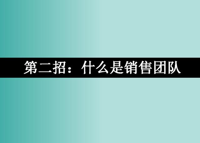 it总监招聘_年薪20万起 这个公司招聘运营总监一名(3)