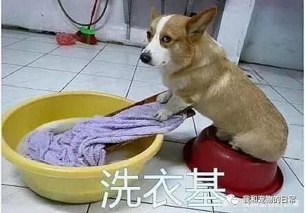 c86d26b422094987b310f418737f1240.jpeg