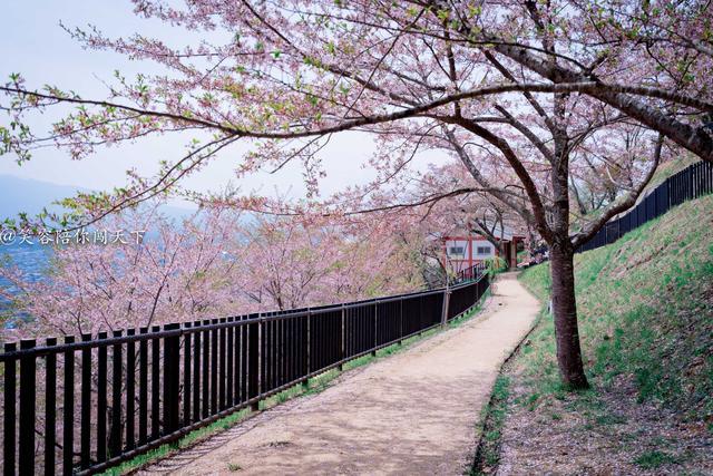 中國遊客到日本旅遊懵了，垃圾不知道丟何處，日本人這樣做的 旅遊 第11張