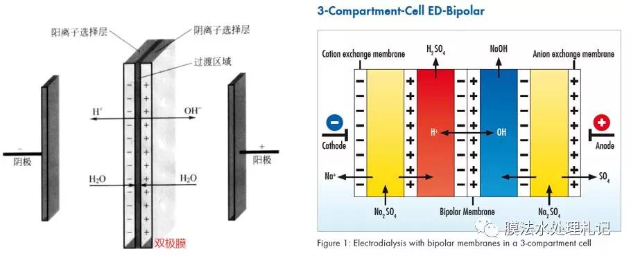 双极膜电渗析,快来了解下!
