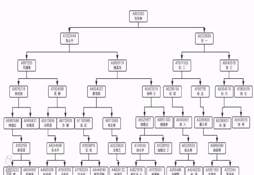 该公司会员层级