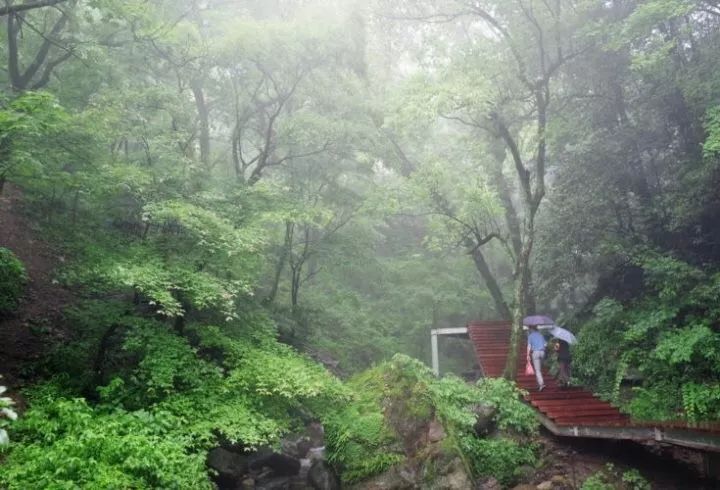 近年来,金华山不断挖掘旅游资源,打造了鹿女湖,花海仙路,双龙溪峡谷等