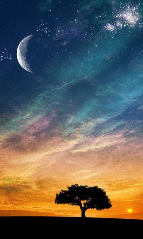 王维唐诗三百首第1首七绝:我们耳熟能详的古诗