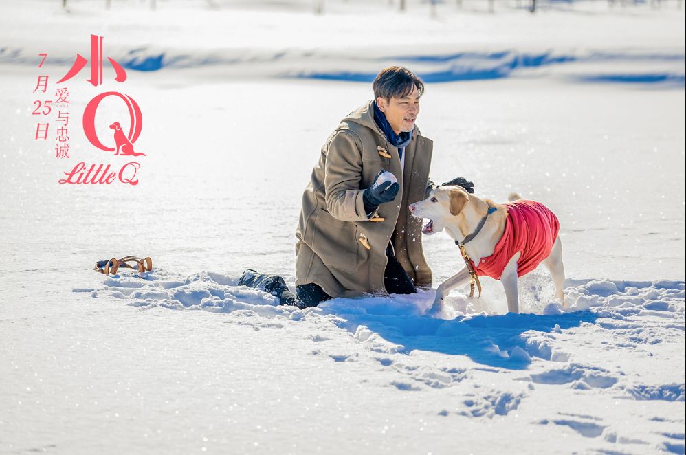 为华哥祈福,任达华当众被刺!主演《小Q》正在